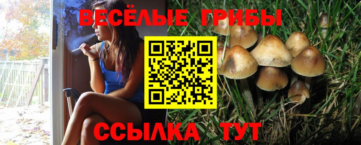 Муром  Псилоцибиновые грибы мицелий  Вход с VPN 