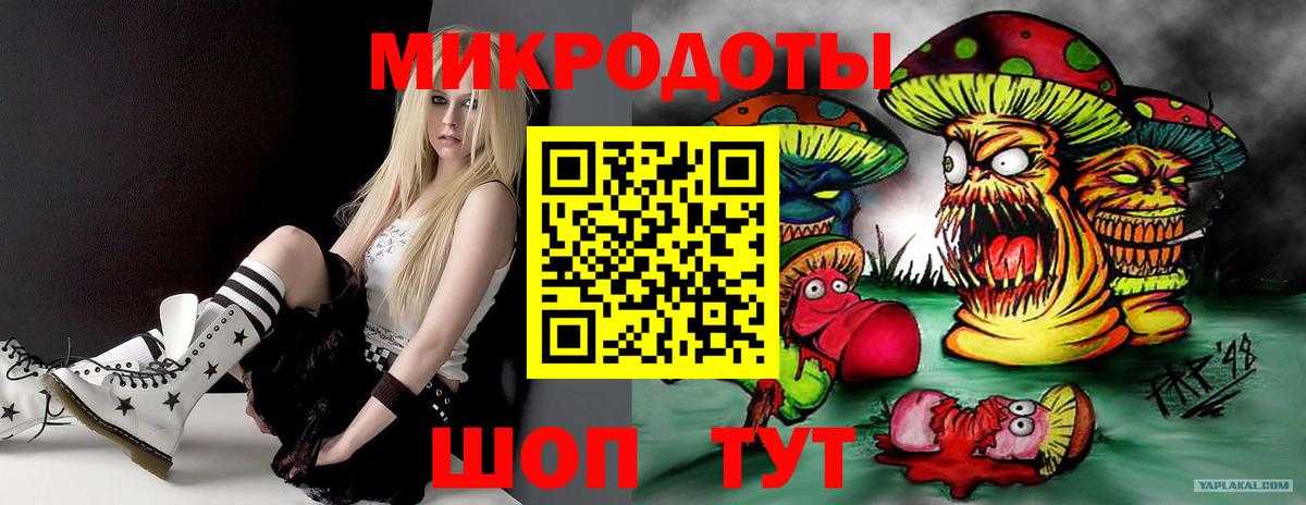 Галлюциногенные грибы Psilocybine cubensis Муром